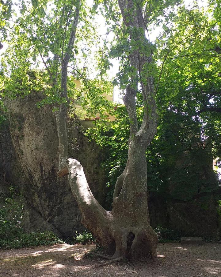 Maison Au Coeur De Fontaine De Vaucluse, Nichee Sur Le Rocher Et Surplombant La Sorgue Dış mekan fotoğraf
