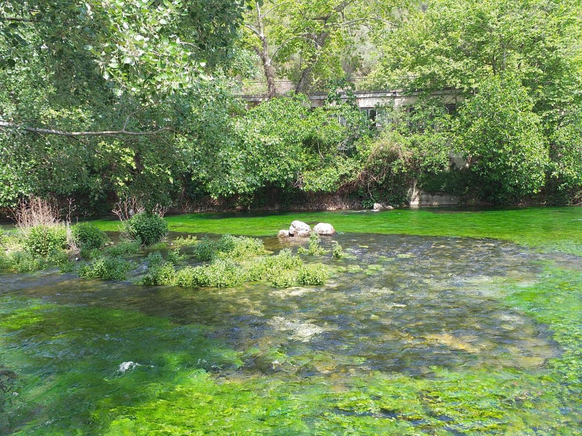 Maison Au Coeur De Fontaine De Vaucluse, Nichee Sur Le Rocher Et Surplombant La Sorgue Dış mekan fotoğraf